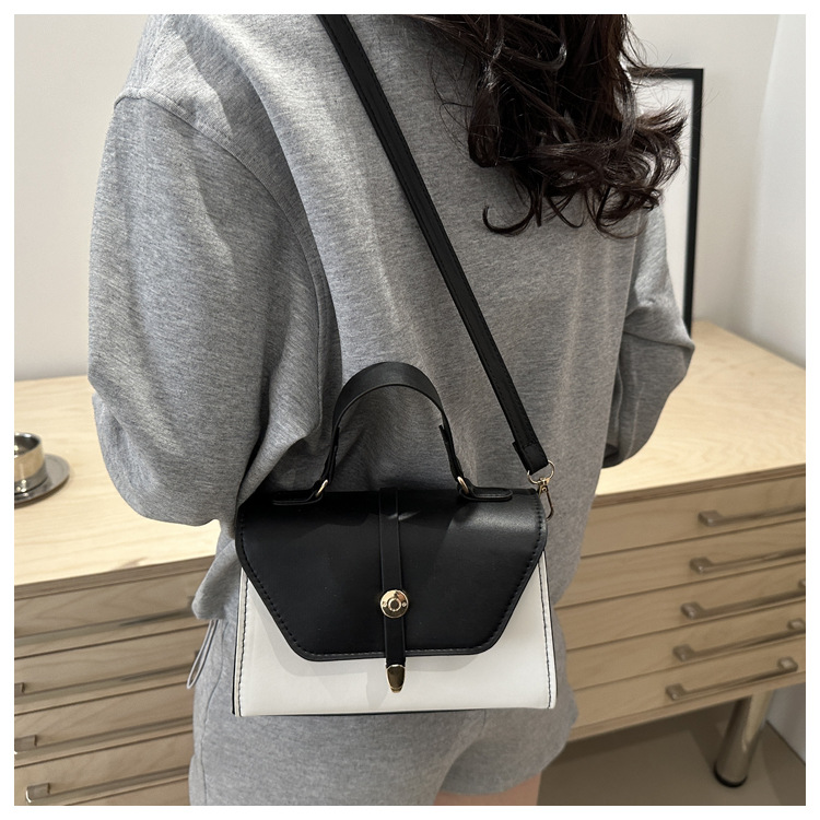 Women's Small Pu Leather Color Block Classic Style Square Magnetic Buckle Crossbody bag BAX display picture 28