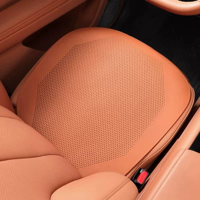 All Seasons, Seat cushion, seat cover - 1-front-row-ocher-brown