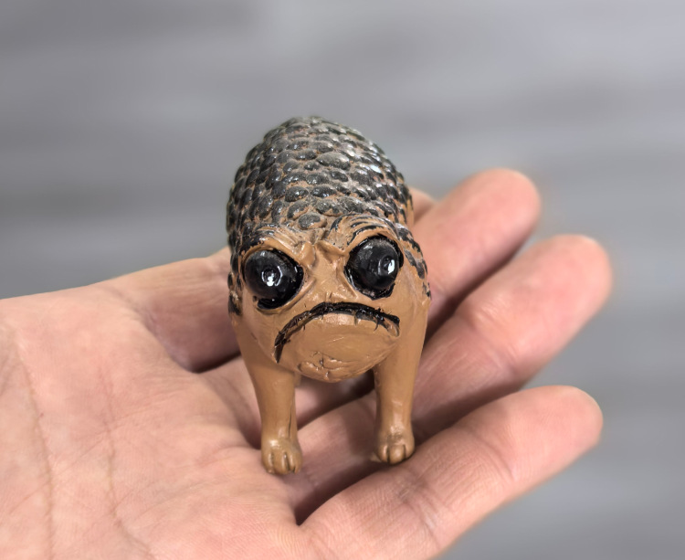 아프리카 두꺼비