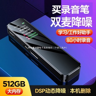 Recording Pen, Small Portable Professional High-Definition Noise Reduction Artifact, Large Capacity for Students to Use in Class, Super Long Standby to Convert Text