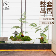 新中式仿真金丝蕨植物造景室内禅意绿植景观简约意境茶室橱窗盆栽