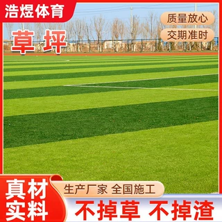 定制人造草坪学校休闲广场体育公园用仿真草坪耐磨草皮绿色草坪