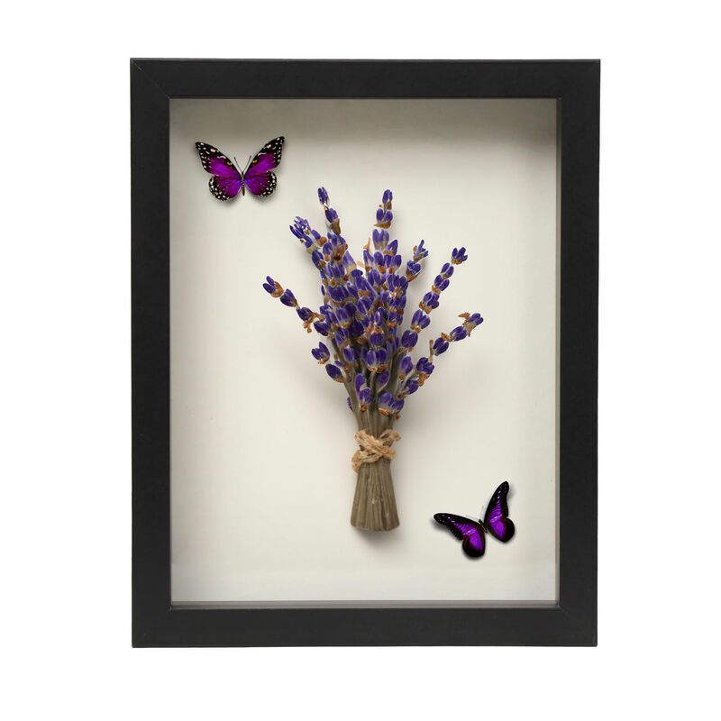 Dried Flower Photo Frame Three-dimensional Hollow Wall-hanging Decorative Specimen Dried Flower Frame Specimen Frame Shadow Box Frame Wooden Flower Box