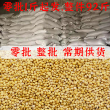 ϿlɢbBʳSС׿x䷽NBϴb