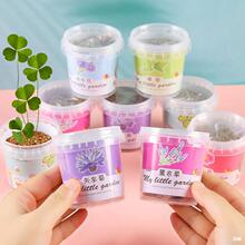 ��ͯ�NֲС����̫ꖻ����տ���ݮ���N����ֲ�����L�^���߲˷N��