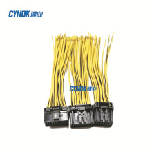�m���ھ�C�����X�z�y���^���m��춸�܇���ھ�C