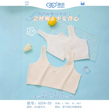 少女网孔莫代尔透气内衣初中学生儿童薄款发育期无钢圈文胸防凸点