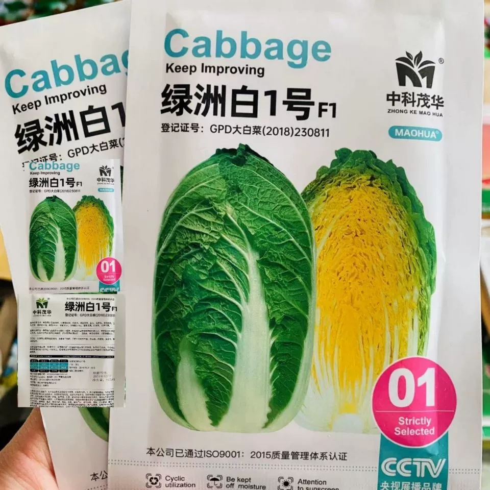 Оазис Белый No.1 Капуста No.1 Желтый Core Капуста Семена Раннее созревание Весенняя капуста Гибридный Желтый Сердце Высокий выход Устойчивость к болезням Вкус