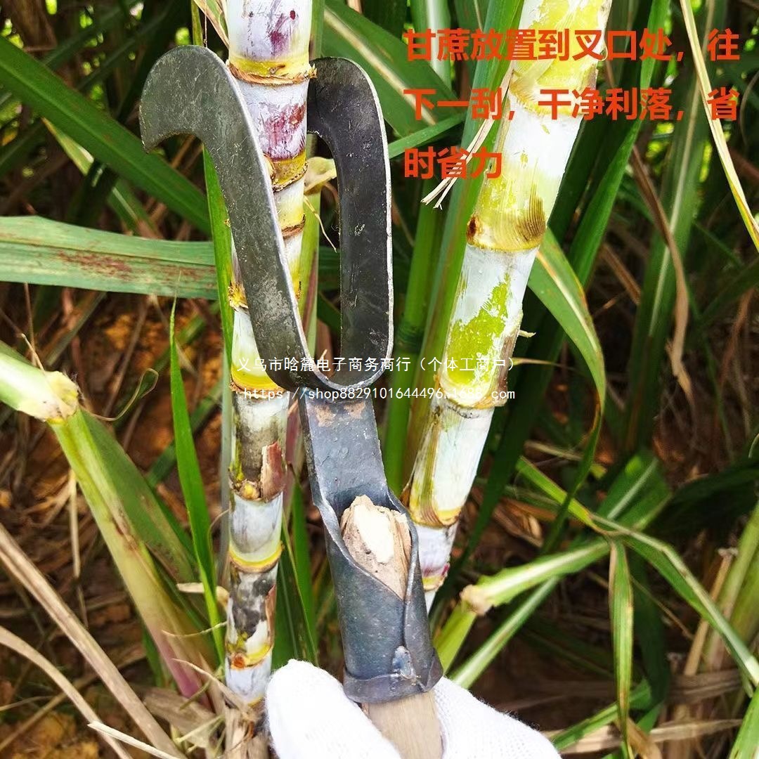甘蔗剥叶刀手动剥甘蔗叶镰刀剥甘蔗叶神器撕扒甘蔗叶工具无