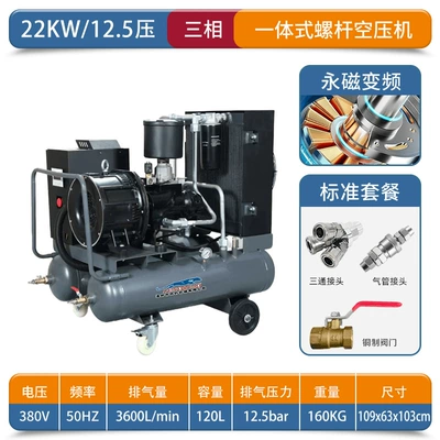 for Auto Repair | Hava kompressorları - 380v-22kw125-voltage-permanent-magnet-frequency-conversion
