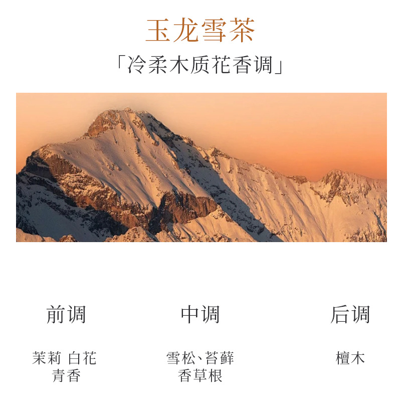 【若風mini】玉龍雪茶