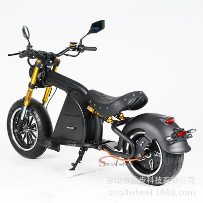 Lithium Battery Balance Car — Elektrikli motosikletlər