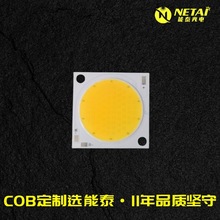 红白光双色 COB灯珠 高亮度普瑞芯片太阳光谱RA97COB光源定制