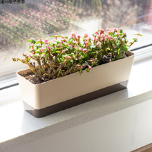 ���⻨���L�l��խ߅���L��̨�Nֲ�����̨���P�������Լ���