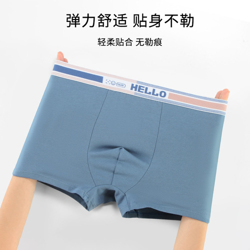 Men's underwear pure cotton breathable and comfortable mid-rise boxer briefs antibacterial bottom profile cotton boxer briefs manufacturer wholesale
