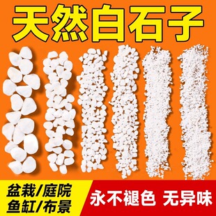 ��ʯ��ͥԺ���@�b����������Сʯ�^�~���쾰�Z��ԭʯ�S��ֱ�N