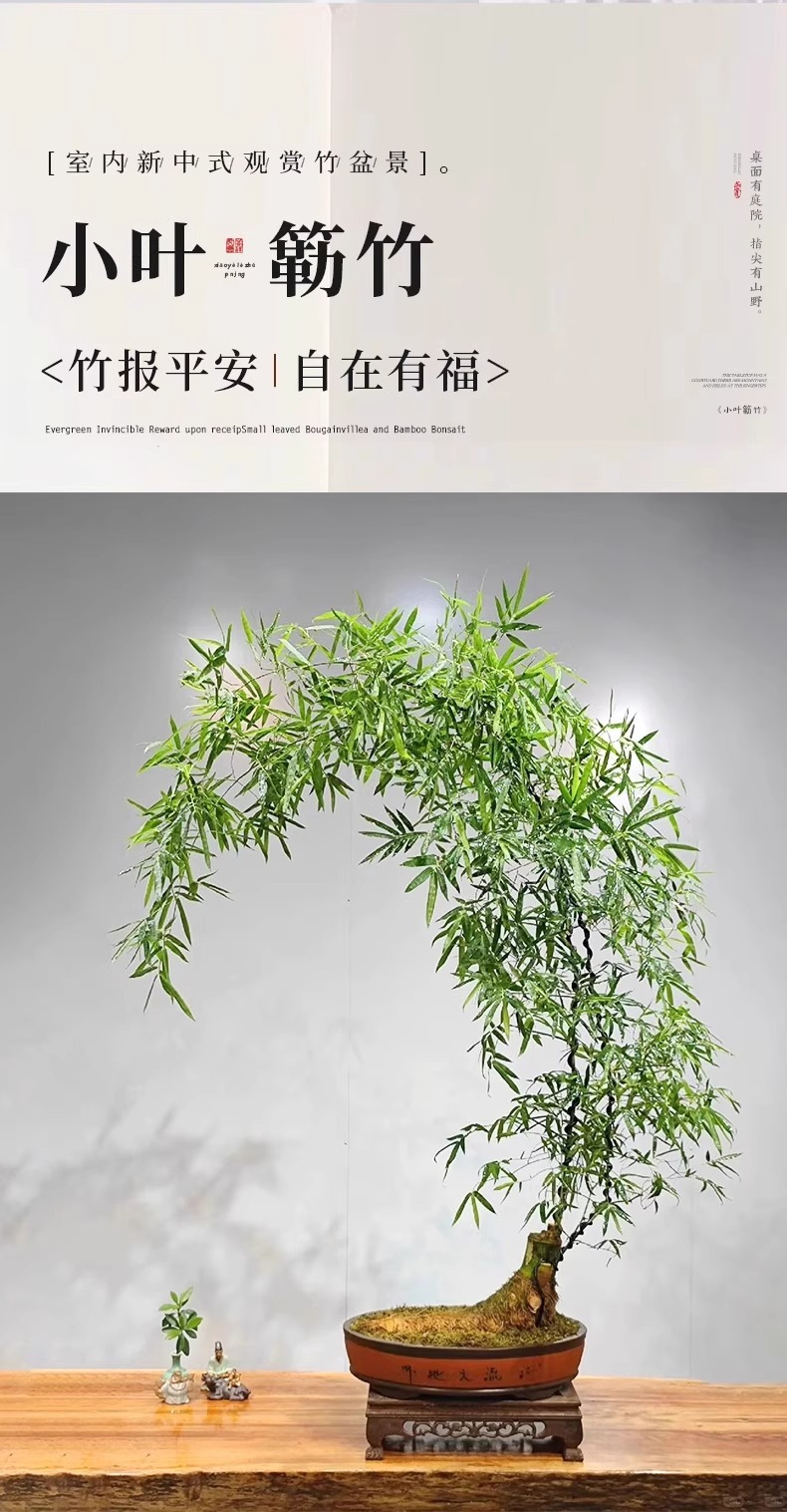 详情图