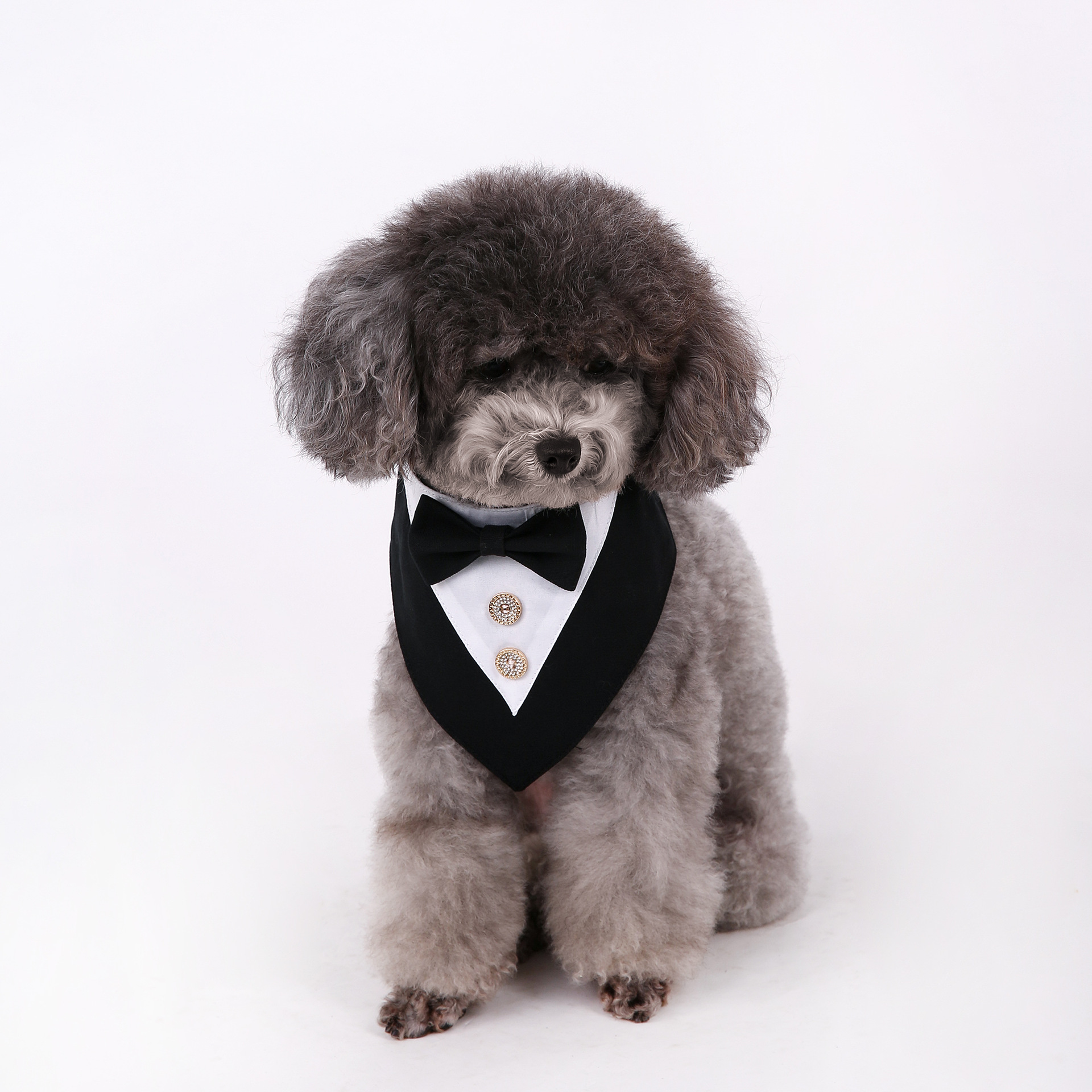 Navidad Año Nuevo Spot transfronterizo boda británica trajes toallas para mascotas bufandas perros velcro toallas para mascotas triángulos