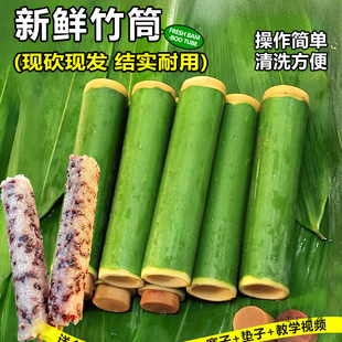Bamboo Tube Rice Dumpling Mold Household Commercial Stall Piston Type Fresh Bamboo Tube Glutinous Rice