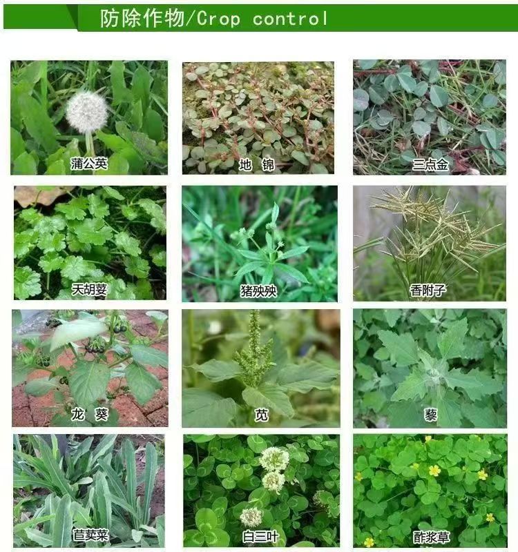 f4544bde9172dc903e705cebd46e08