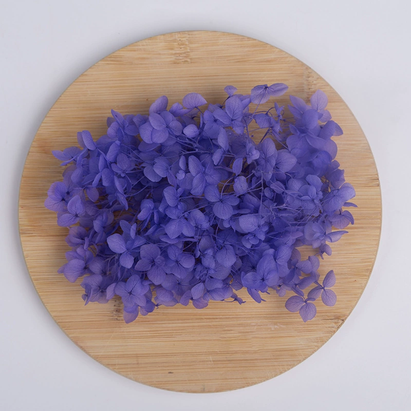 Вечный цветок Сухоцветная коробка Анна Гранди Hydrangea посыпанные лепестки цветов для лица свадьбы оформление Цветочный стиль
