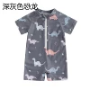 Dark gray dinosaur
