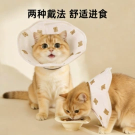 狗狗牵引;狗狗玩具;猫猫玩具