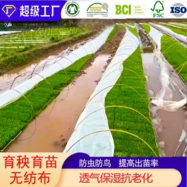 纺粘无纺布;其他无纺布;针刺无纺布