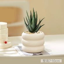 �������_���҃������k������X�Gֲ����ͥԺ���@Сֲ��