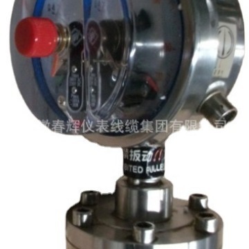 不锈钢耐腐隔膜电接点压力表YTPFX-100