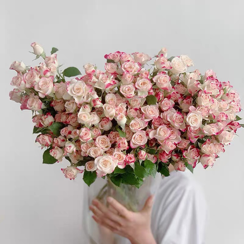 花香满溢：走进玫瑰花批发的世界