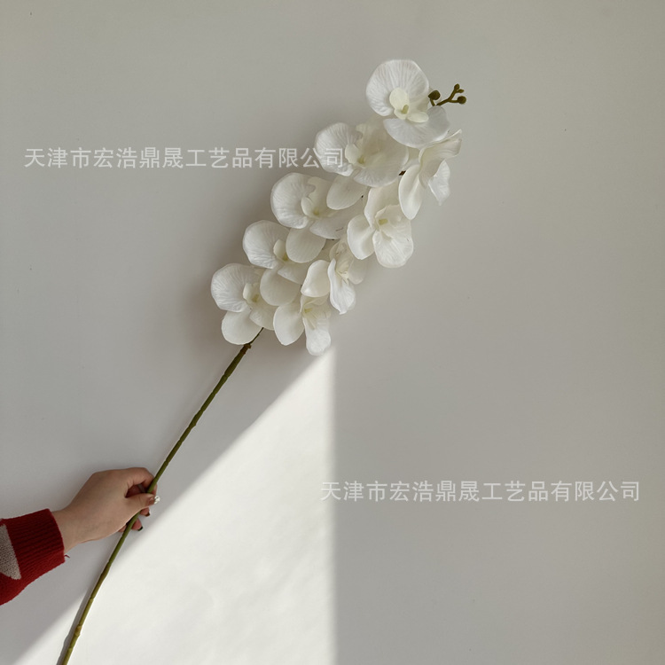 微信图片_202303031341504_副本