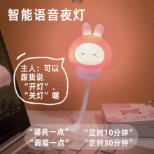 2025年硅胶灯罩萌宠小夜灯插座供电遥控婴儿儿童卧室床头USB插电