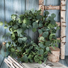 家居蘋果葉尤加利葉環花環INS風仿真花裝飾跨境批發假花MW61666