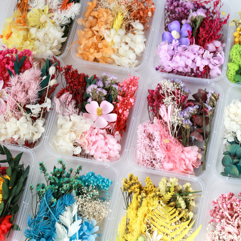 馥蕾 手工diy干花材料 天然植物永生花材料包 绣球花团扇相框装饰