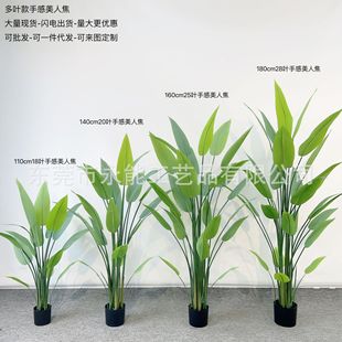 WֲzƬ˽쾰پGֲ͏d҃b