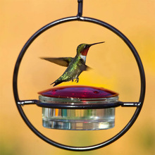 ׷ιˮι hummingbird feederʽιʳ