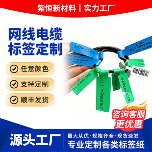 PET�����z���|�˺���ճ��˺�N��������R����N���l�δa���ۘ˺�