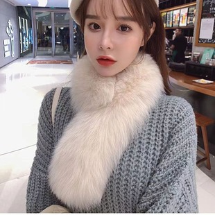 ������Ƥ����ë������ë�ٴ��n��2026���¿�ë�q�񌍳��㱣ů����