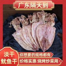 鱿鱼干批发广西北海a5煮粥煲汤海鲜汤料干货淡晒烧烤独立站速卖通