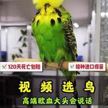 ��Ƥ�W�^���B���fԒ���W�^���B���^����С�B���B���w����ĵ�����P