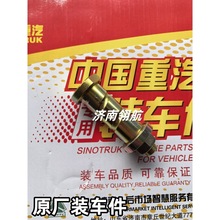 重汽HOWO自卸卡车系列驾驶室反转轴紧固螺栓两套装 WG1642430071