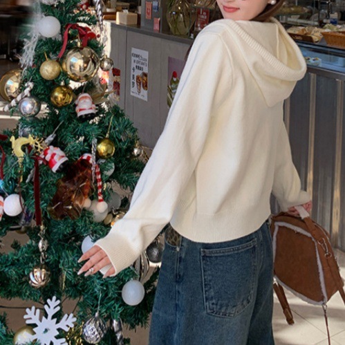ニットカーディガン 2025 新しいセータージャケット春の女性の初春韓国スタイルの小さな服フード付きトップス女性|undefined