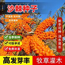 ɳ���N�Ӵ��ɳ���N���ļ�ˮ��ɳ���N�����׷N�Ϸ�����ɳ����N��