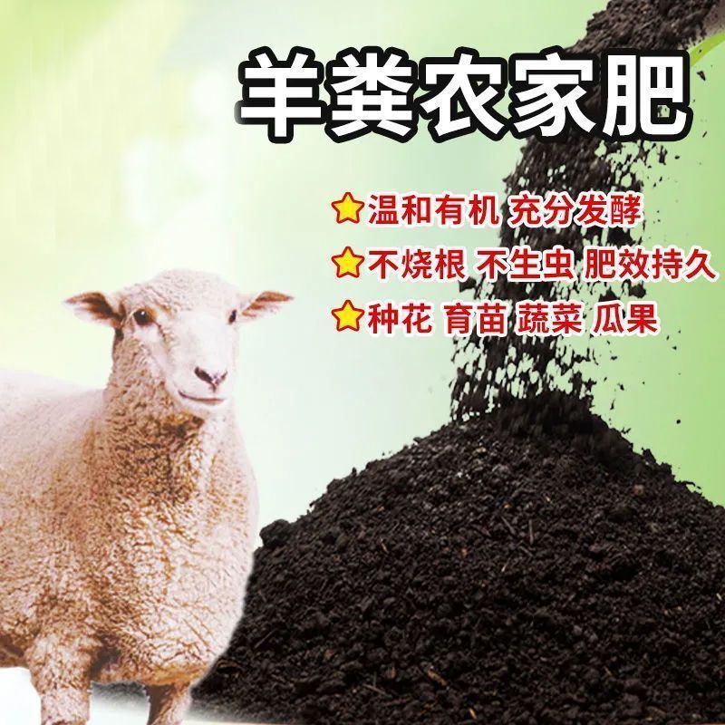 26483c2b-0a76-4049-bc42-32b0cfb6f7bb.jpe