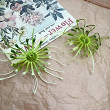 ĵ�����Ļ���10cm�G�׼ٻ�����廨����ֲ���ջ���С����ǻ���