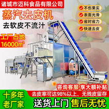全自动西红柿蒸汽去皮机番茄葡萄蒸汽剥皮机黄桃马铃薯去皮机设备
