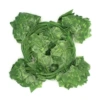 30 ivy leaves