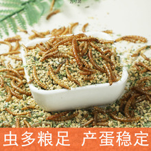 �J���u������ϱR���u�a���Zʳ����x���r����g���Ϯa�����l