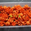 [橙色开心果1盒65克（约70个），会有少量的破损]